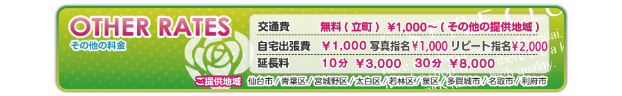 交通費・その他料金